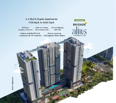 Brigade Altius